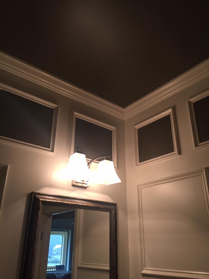 Bathroom Custom Judges Paneling on Walls 2