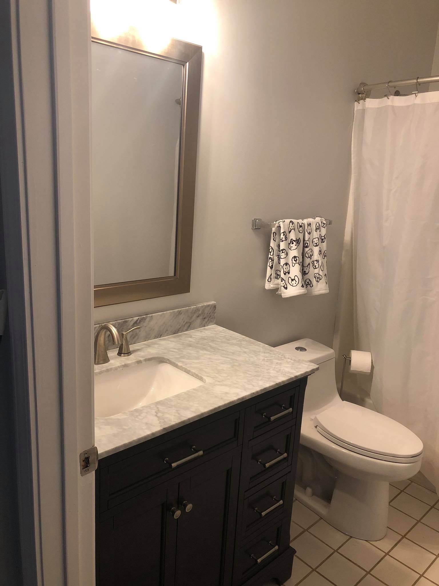 Minor Bathroom Renovation near Fayetteville