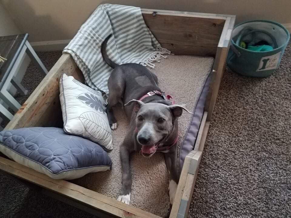 Custom Wood Dog Bed Construction 16