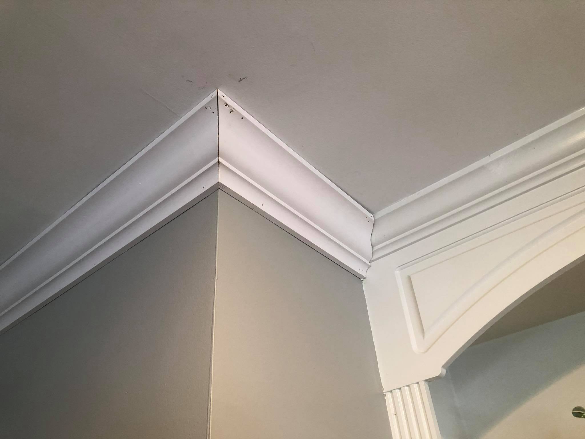 Crown Molding Panels Installed 1