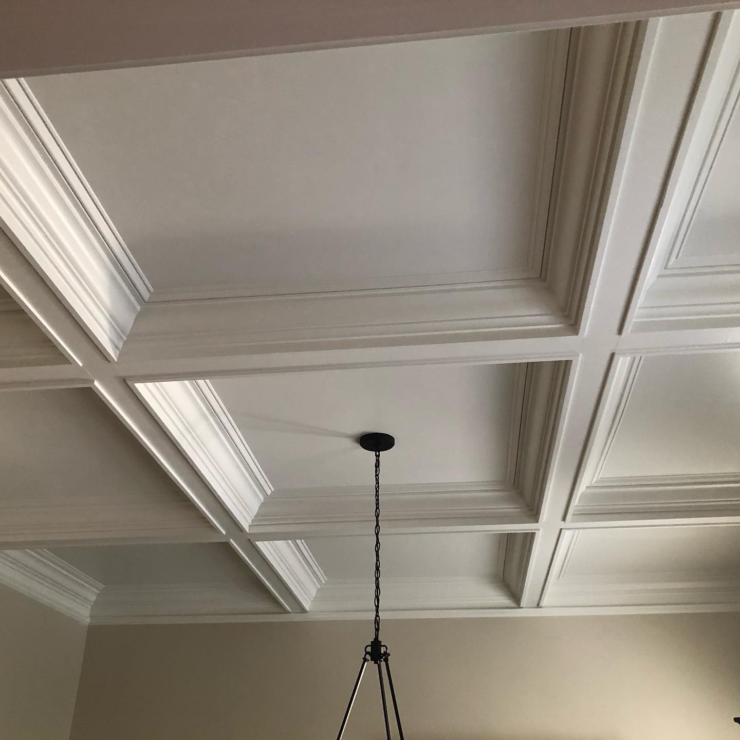 Dining Room Wainscoting and Coffered Ceiling near Peachtree City